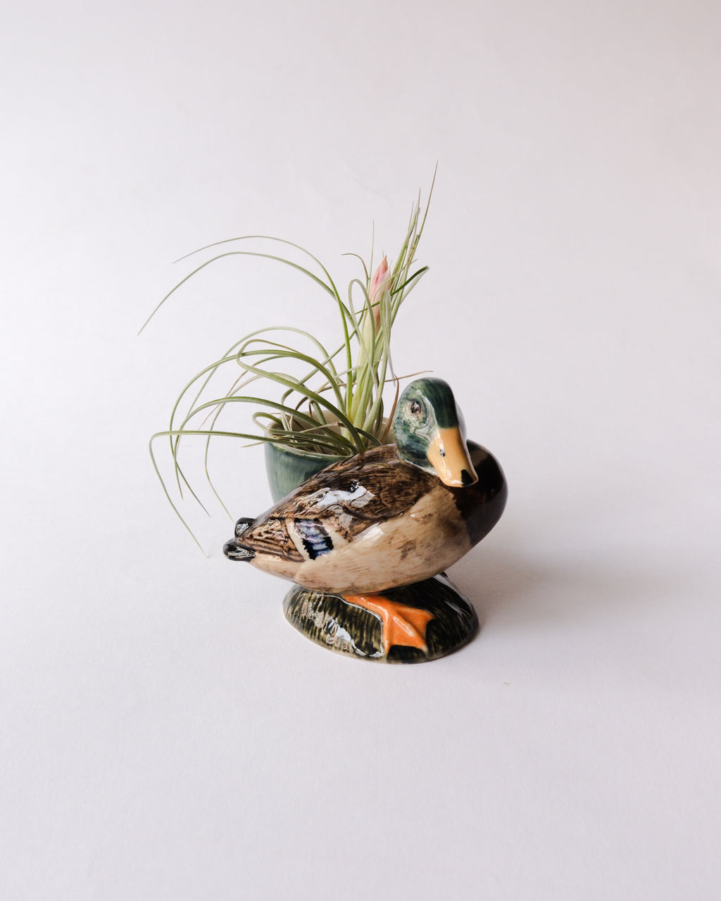 Animal egg stand