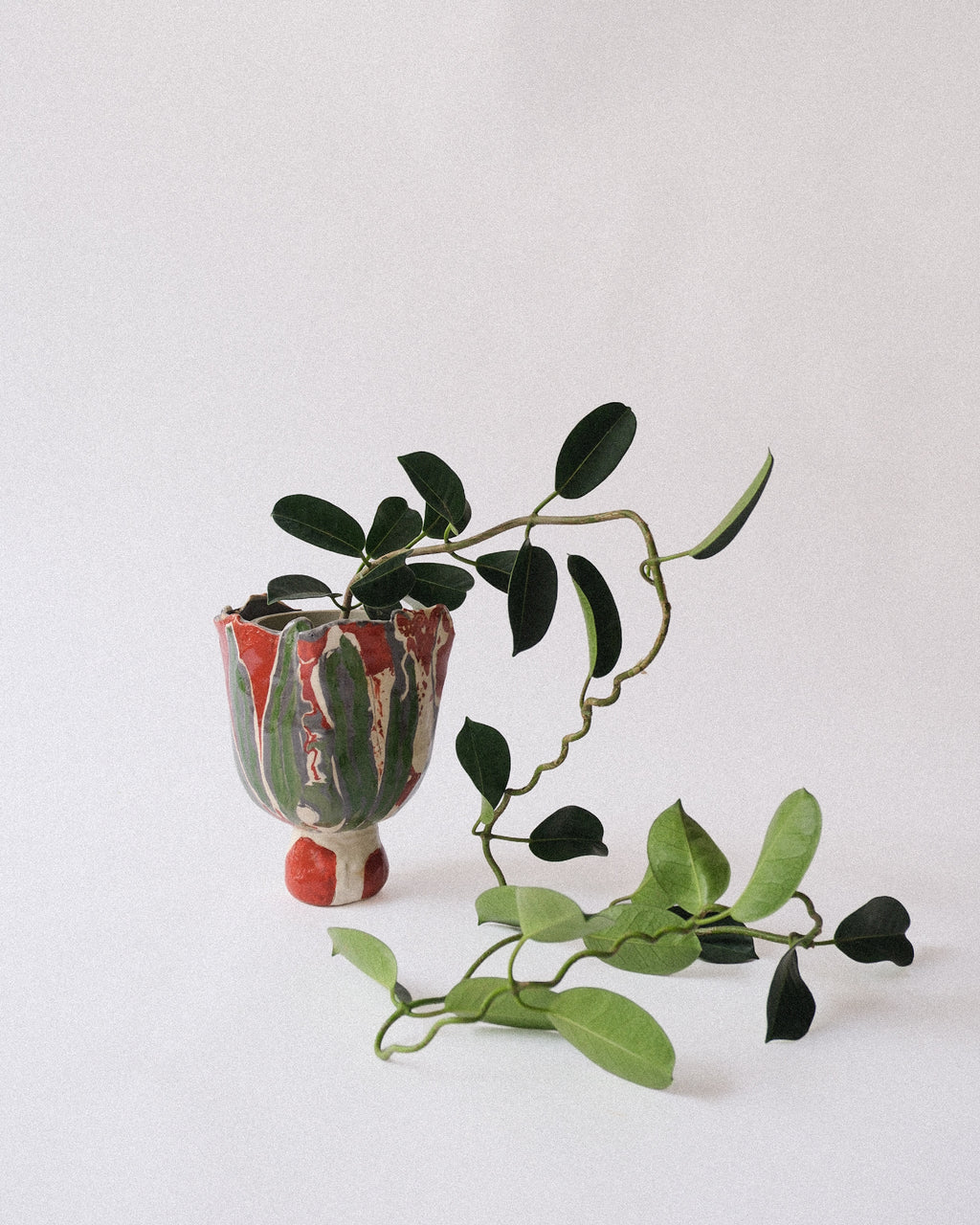 arakirina ceramic planter