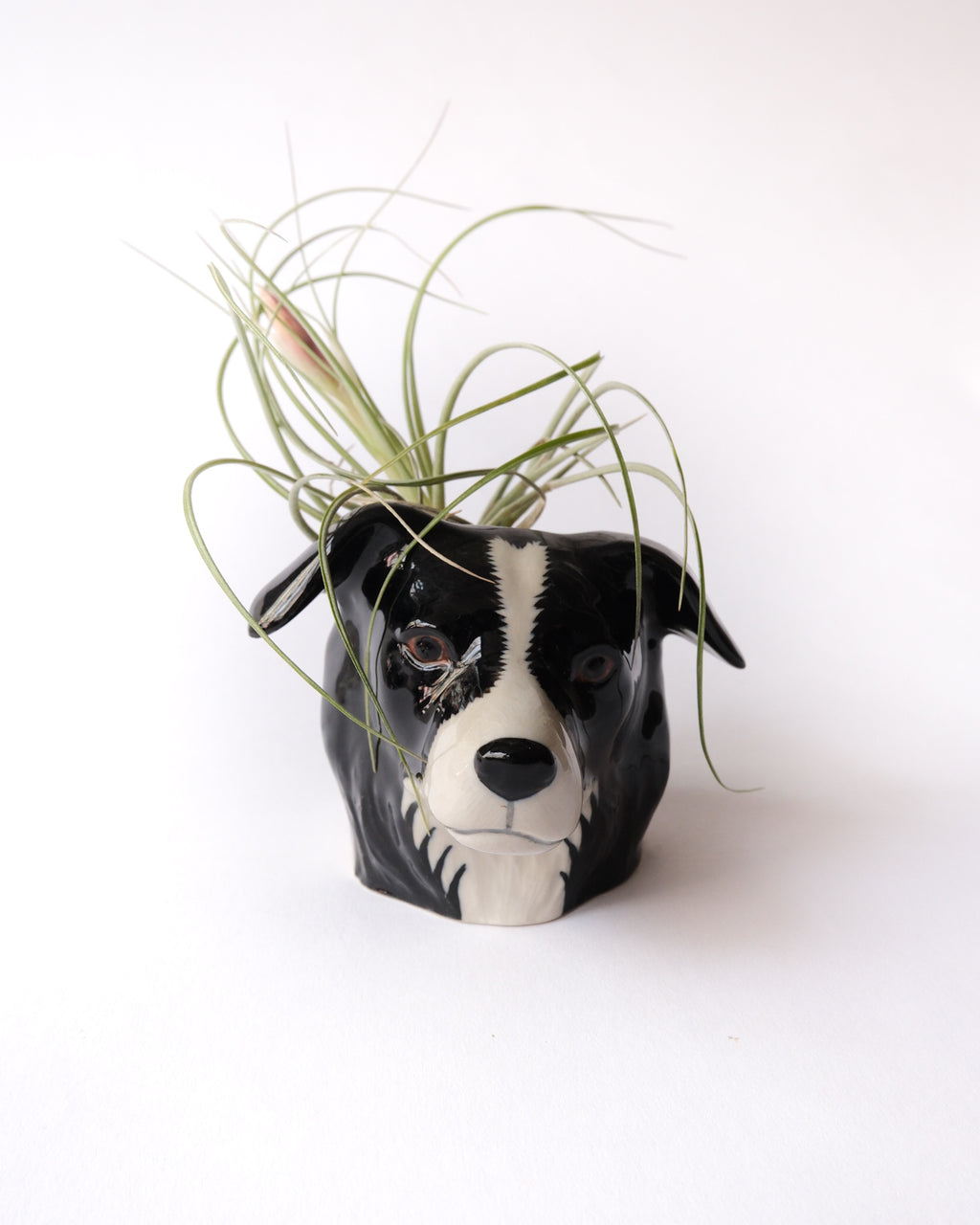 Animal face egg stand