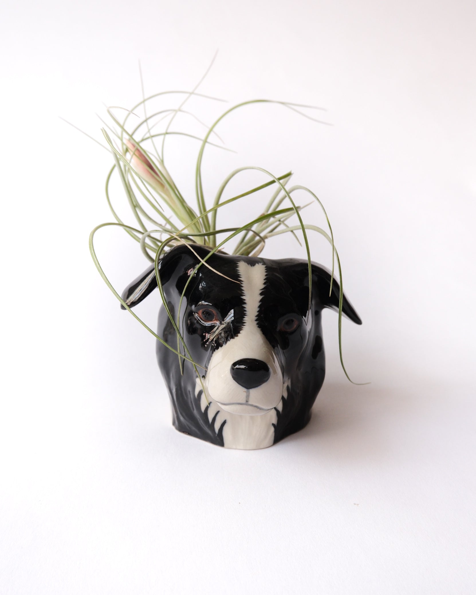 Animal face egg stand