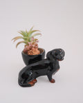 Dachshund egg stand