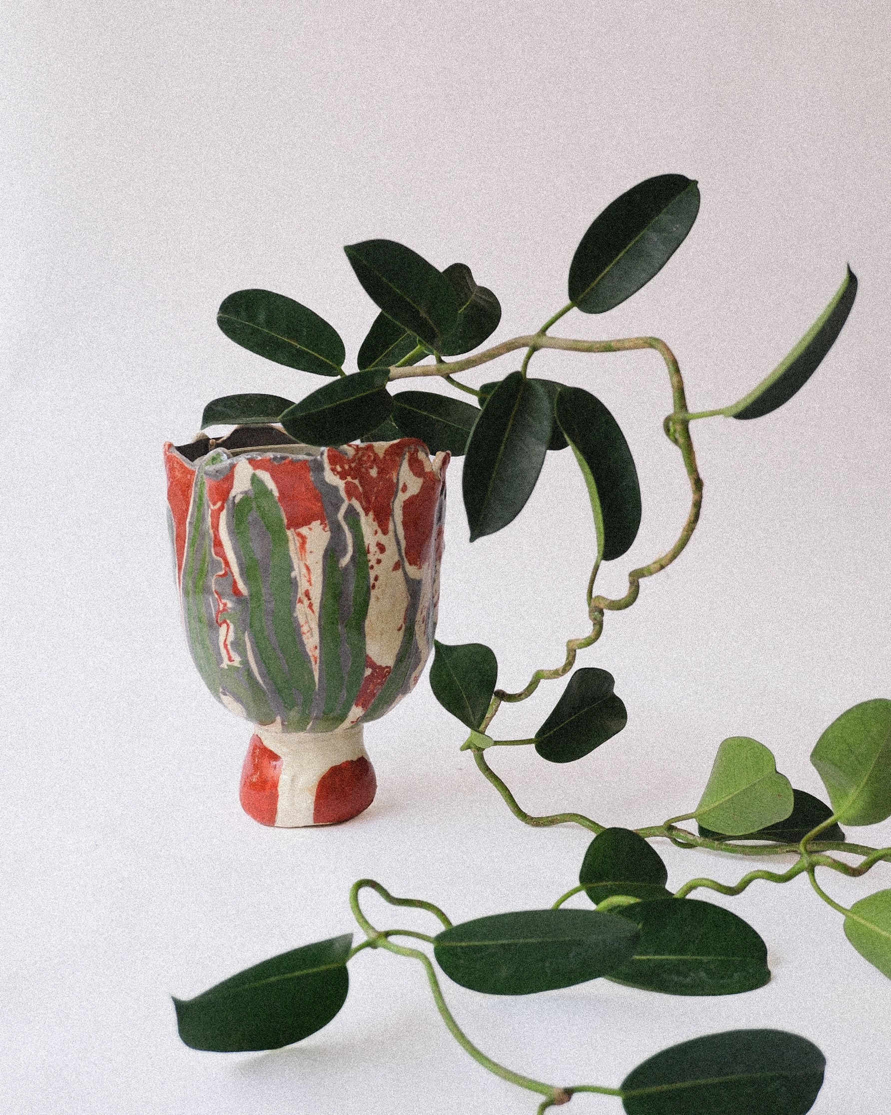 arakirina ceramic planter