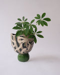 arakirina ceramic planter