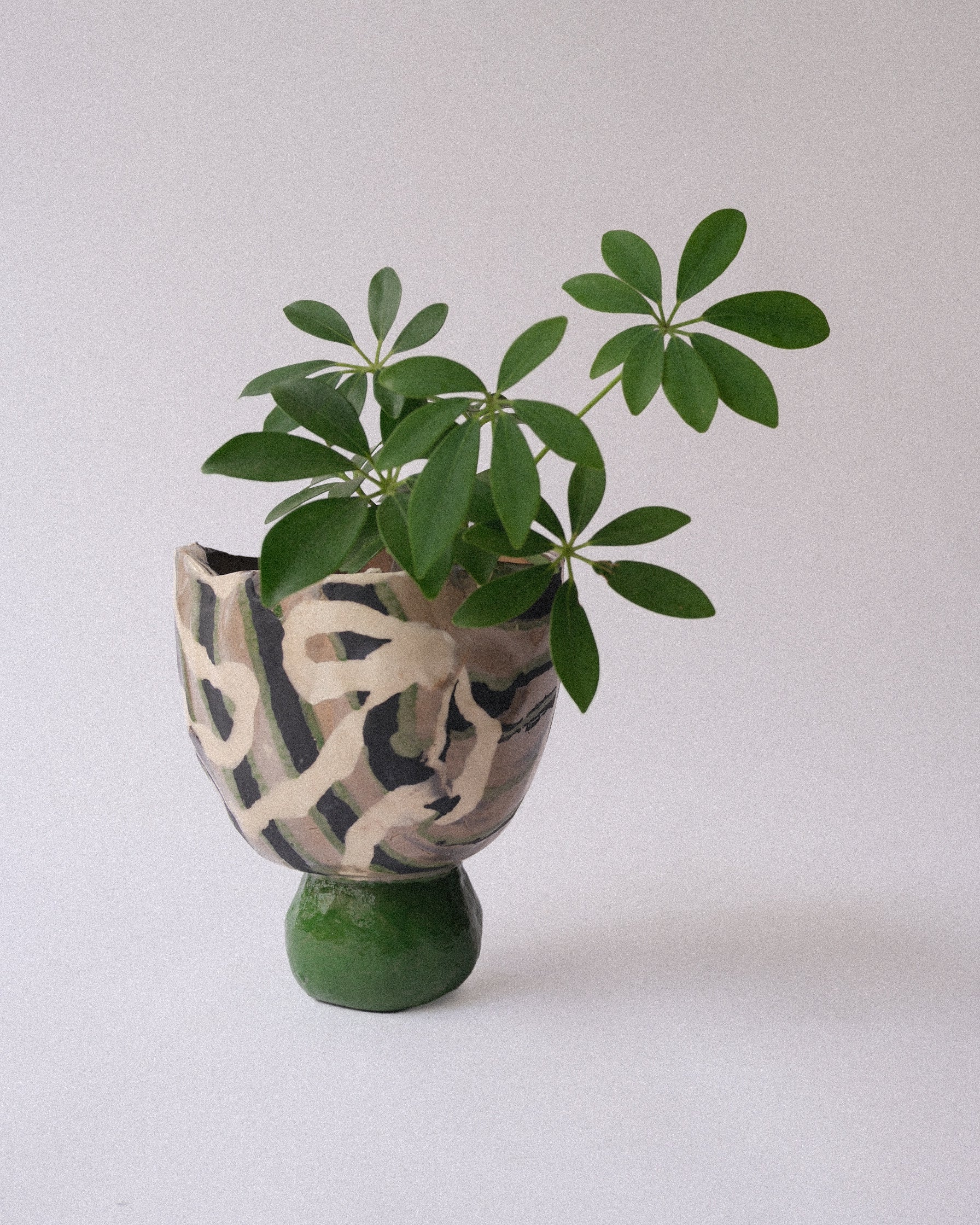 arakirina ceramic planter
