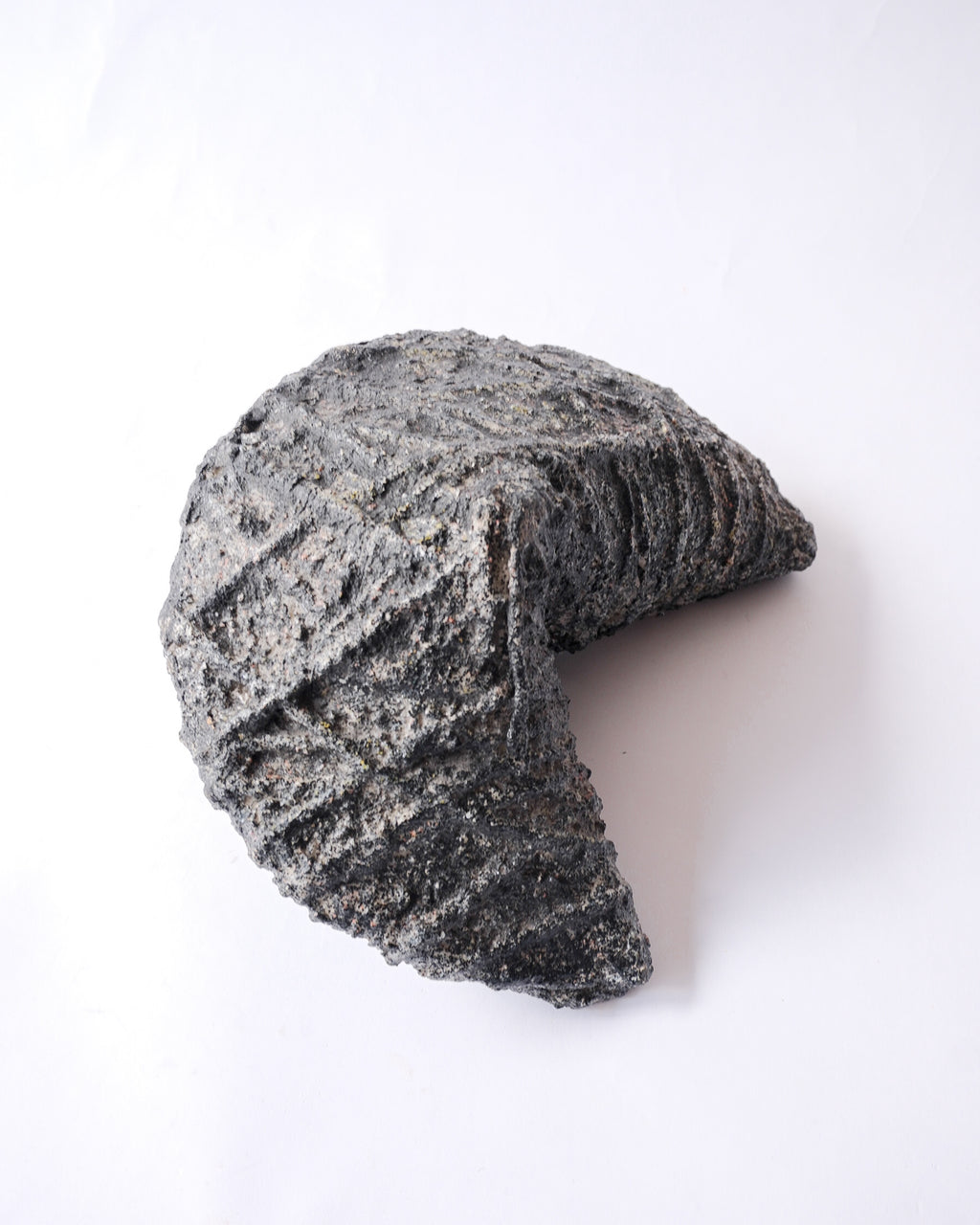 Ceramic fortune cookie object