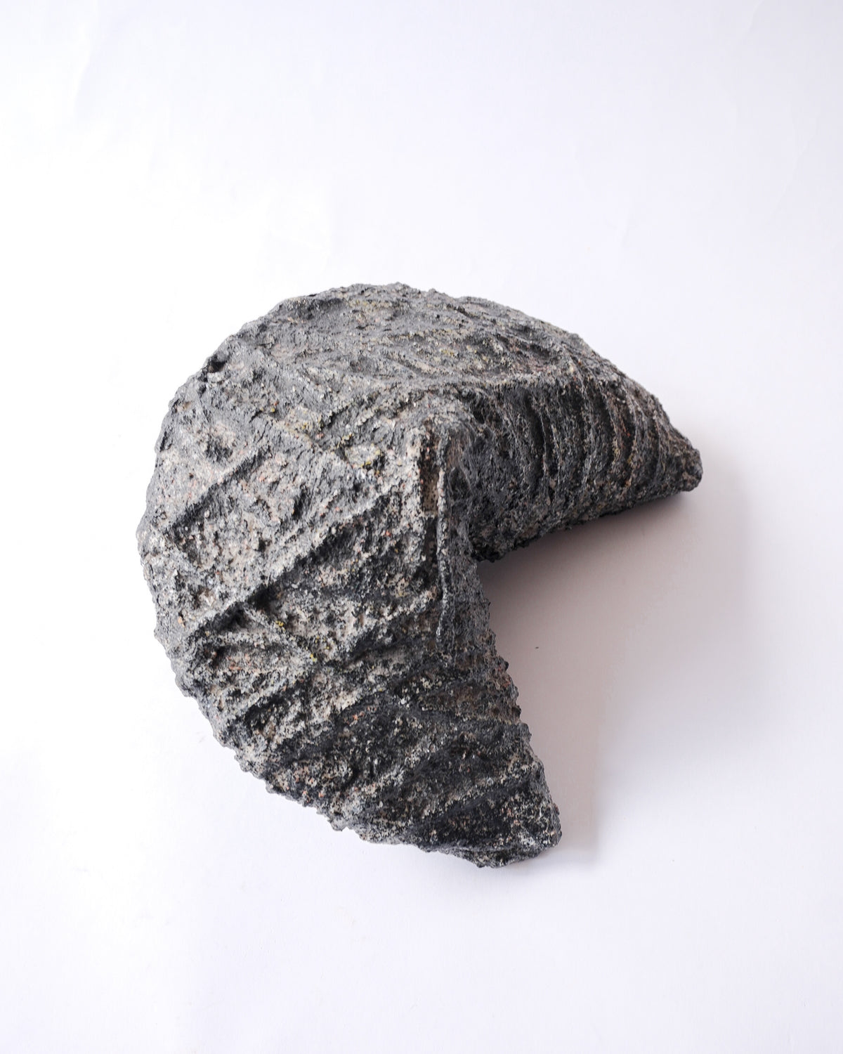 Ceramic fortune cookie object