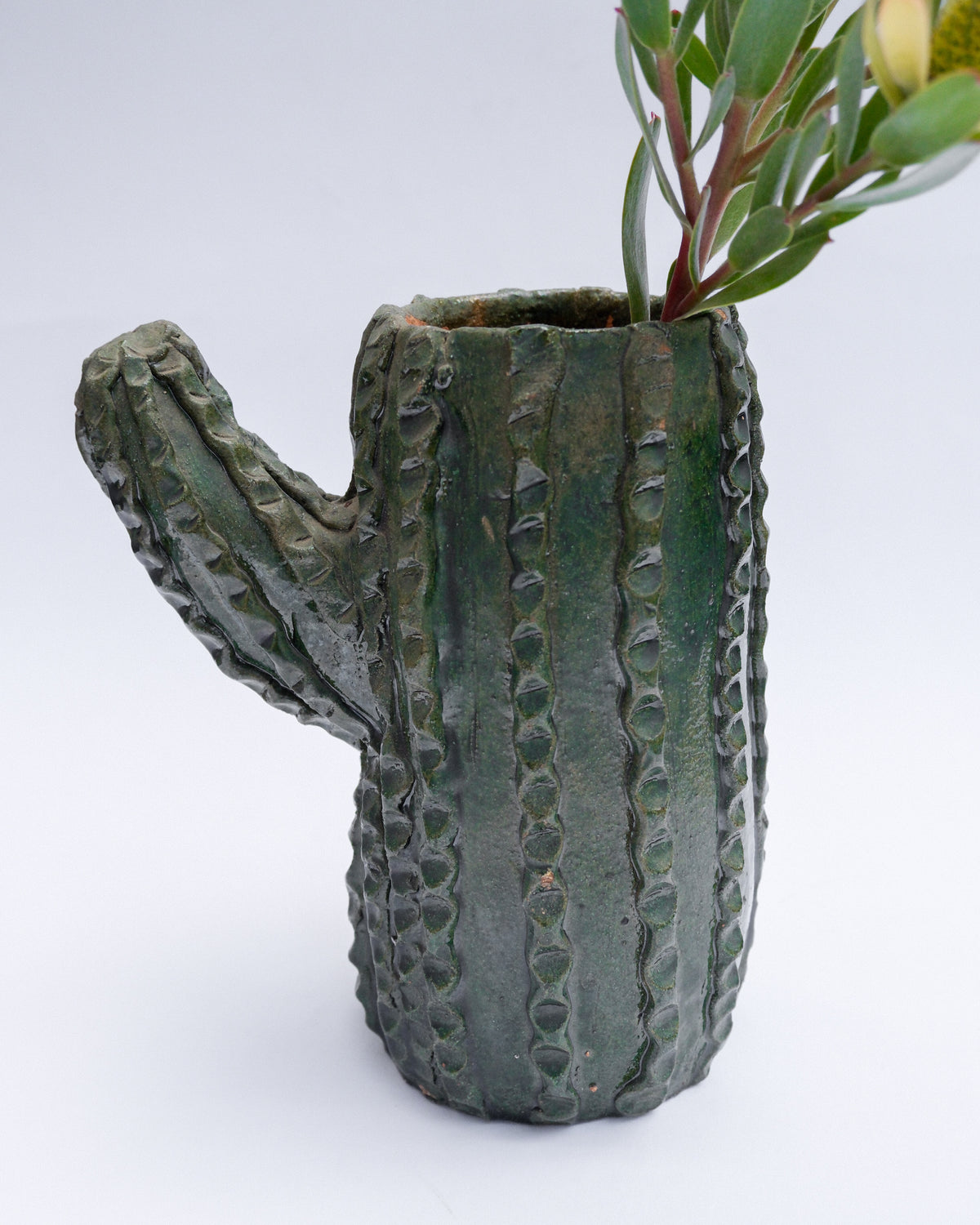 ceramic cactus vase