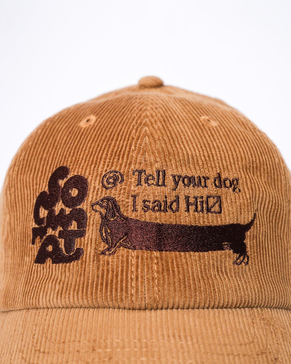 "Tell your dog I said Hi" corduroy cap