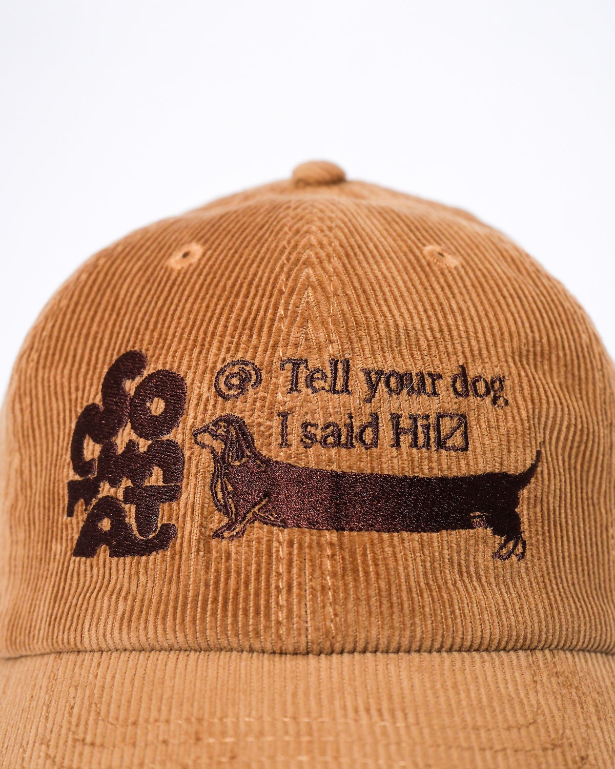"Tell your dog I said Hi" corduroy cap