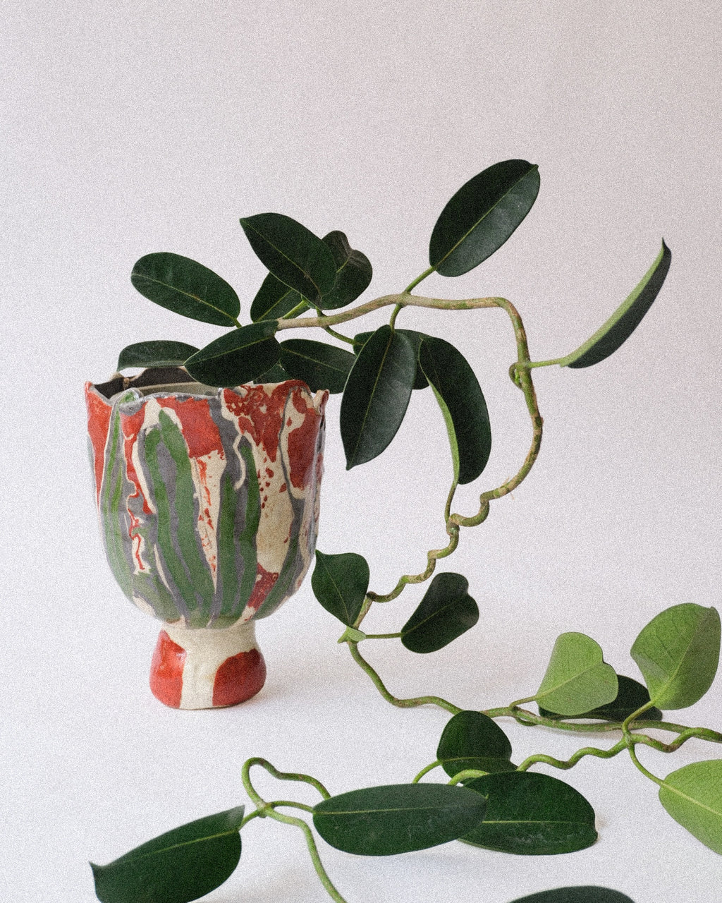arakirina pottery planter