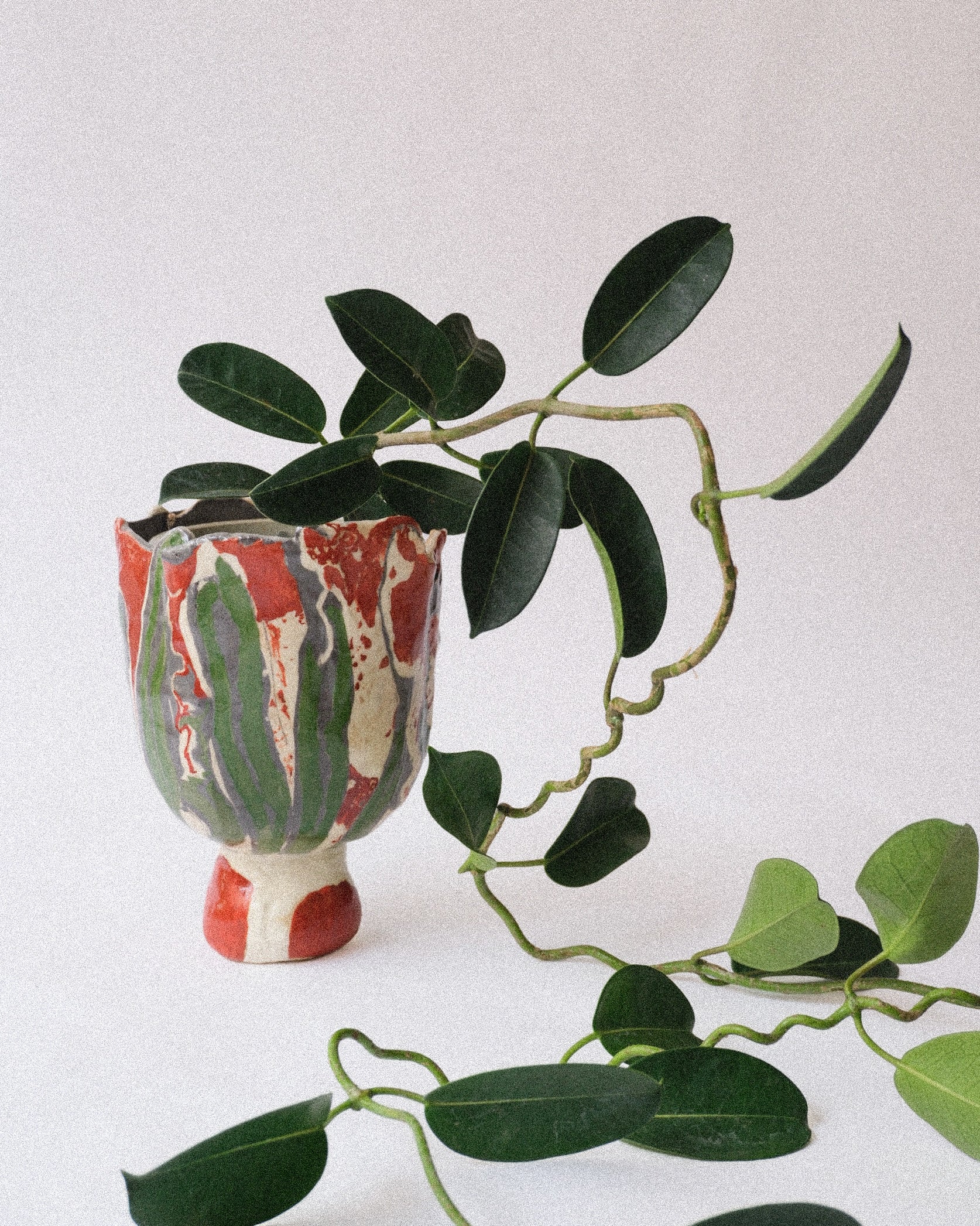 arakirina pottery planter