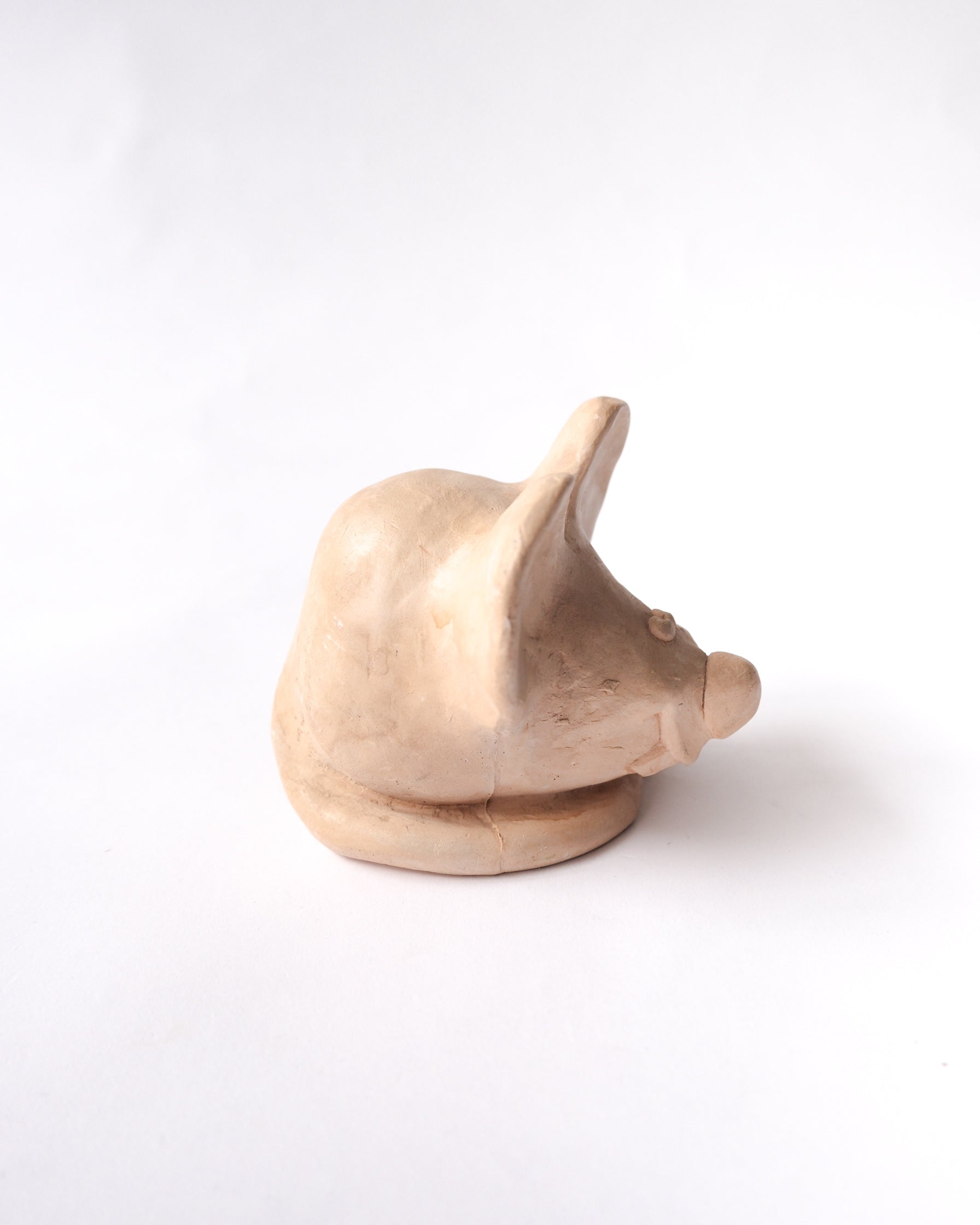 Ugly rat object