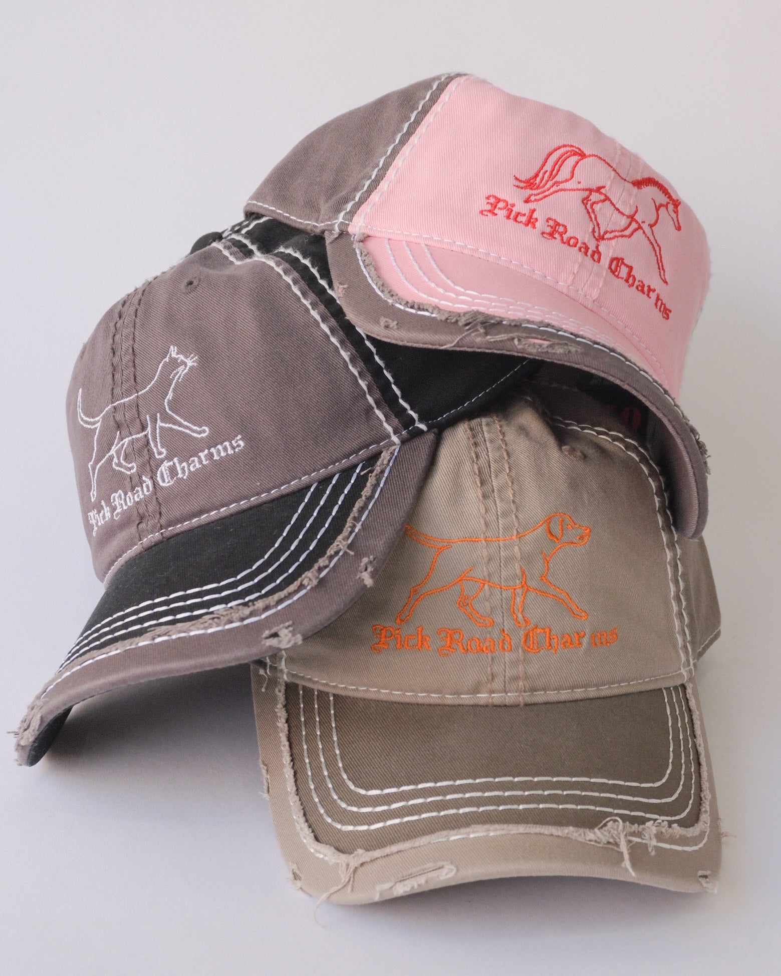 C.A.P. Pick Road Charms Dog Cap
