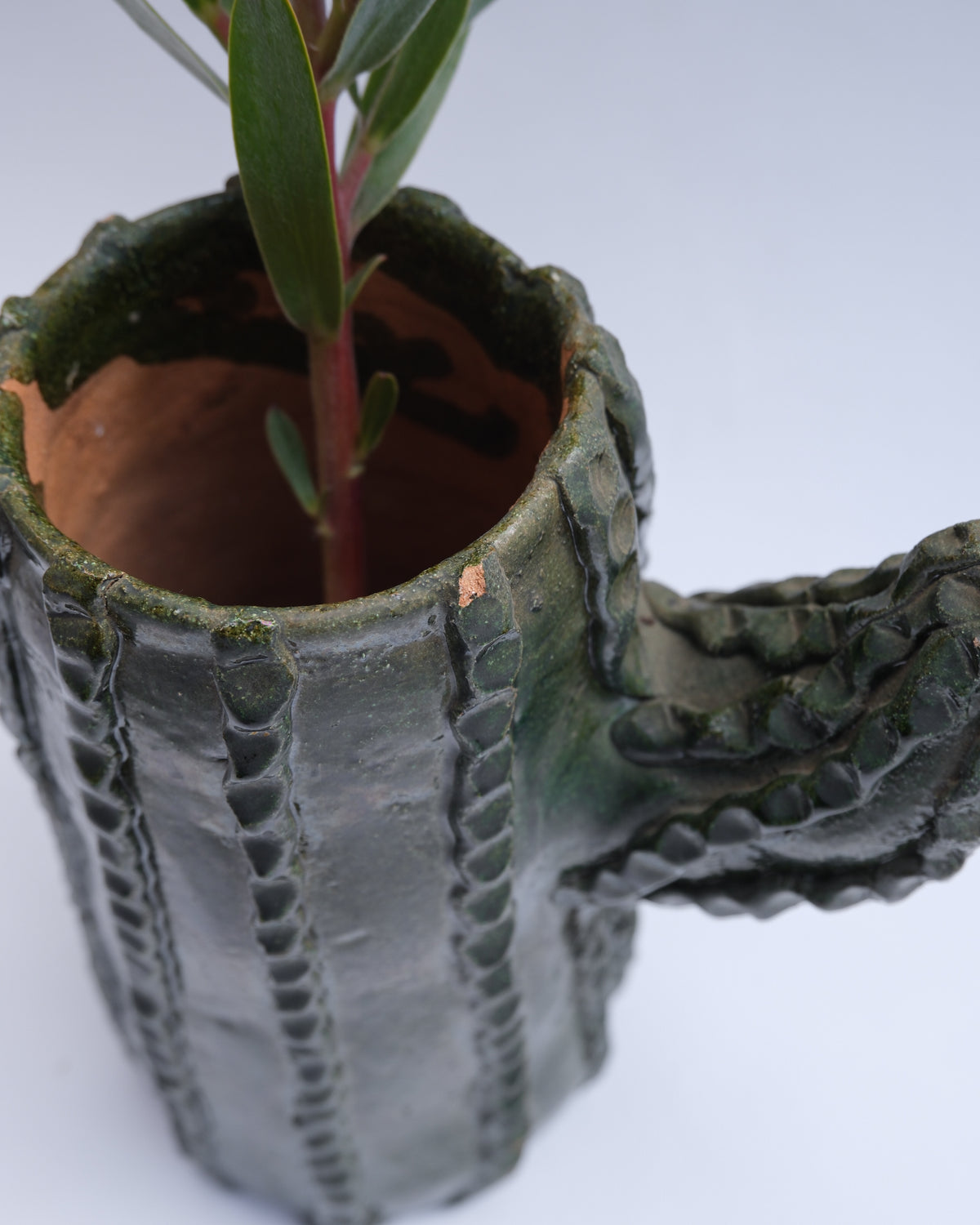 ceramic cactus vase