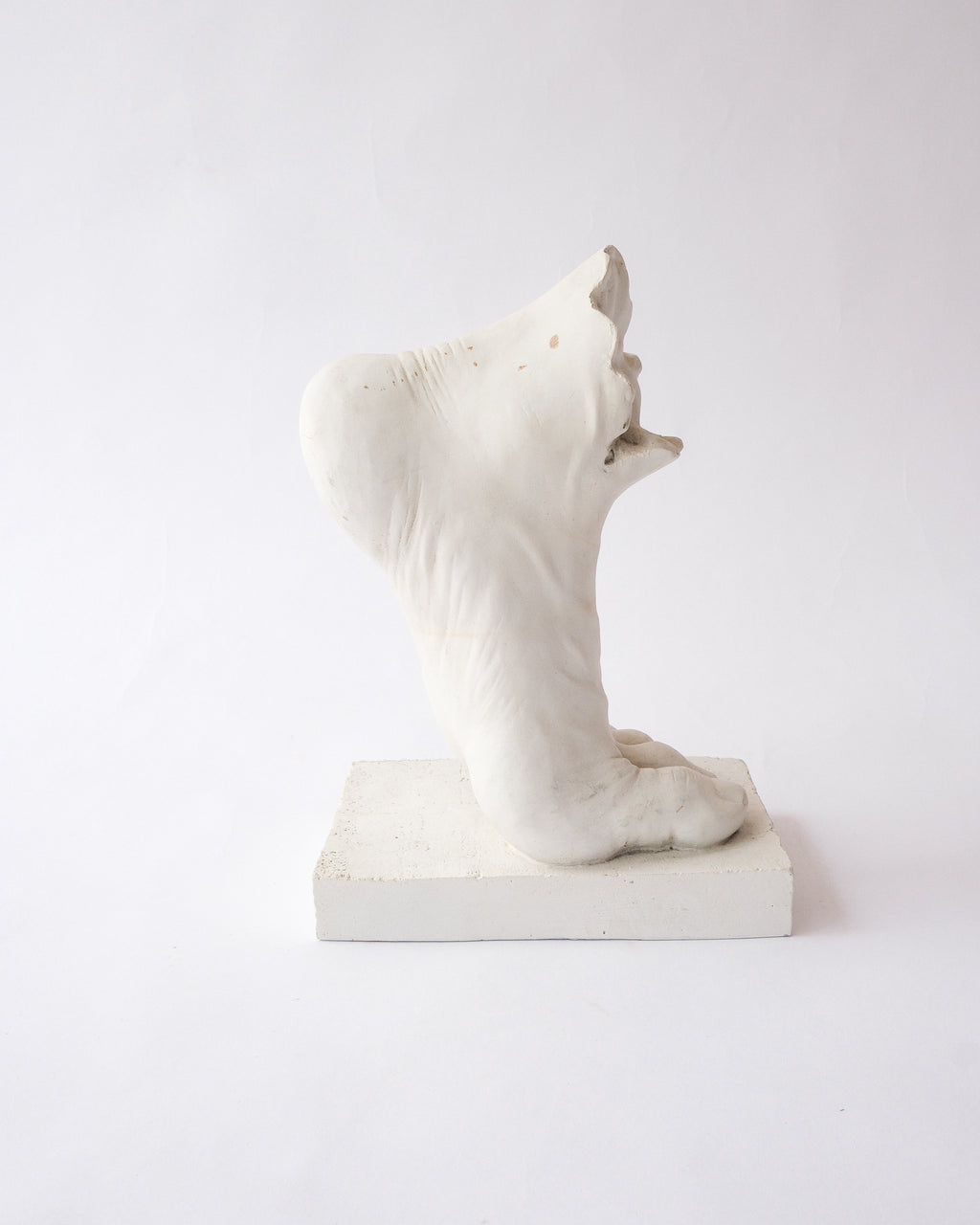 Foot plaster sculpture