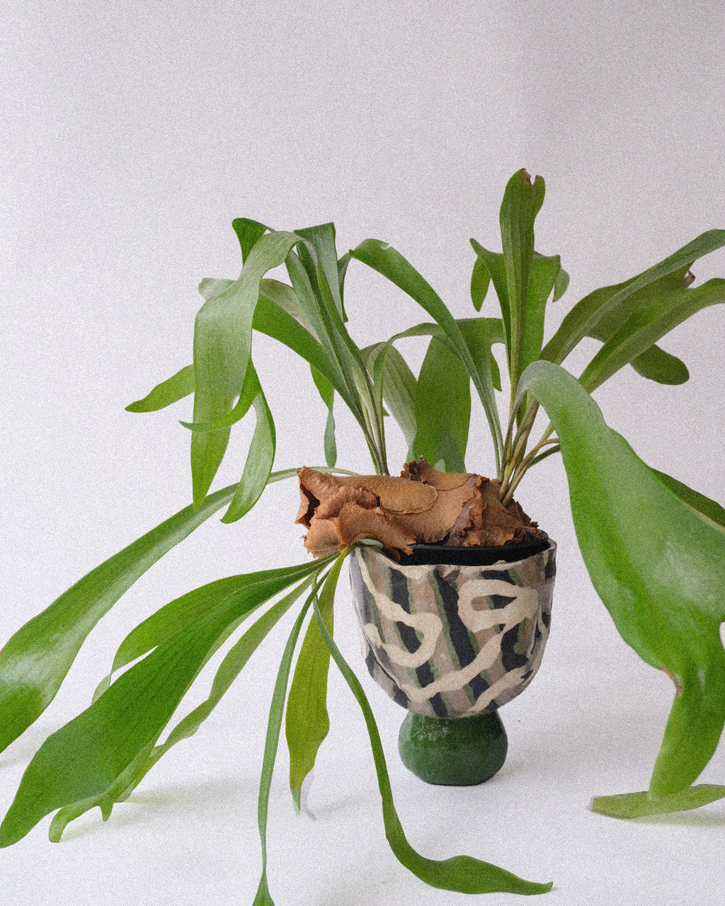 arakirina ceramic planter