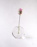 Clear Glass vase