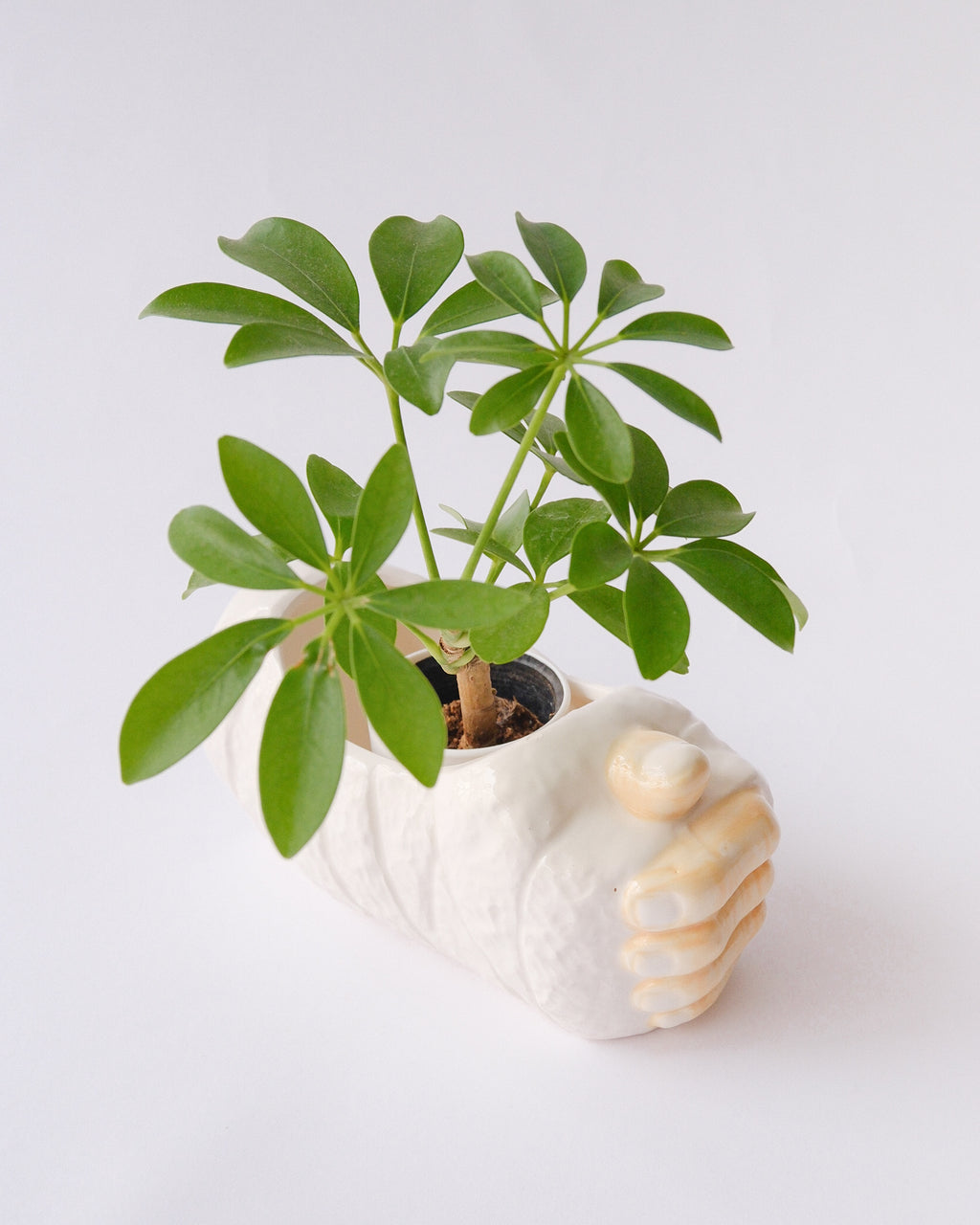 LUV Imports ceramic planter cover