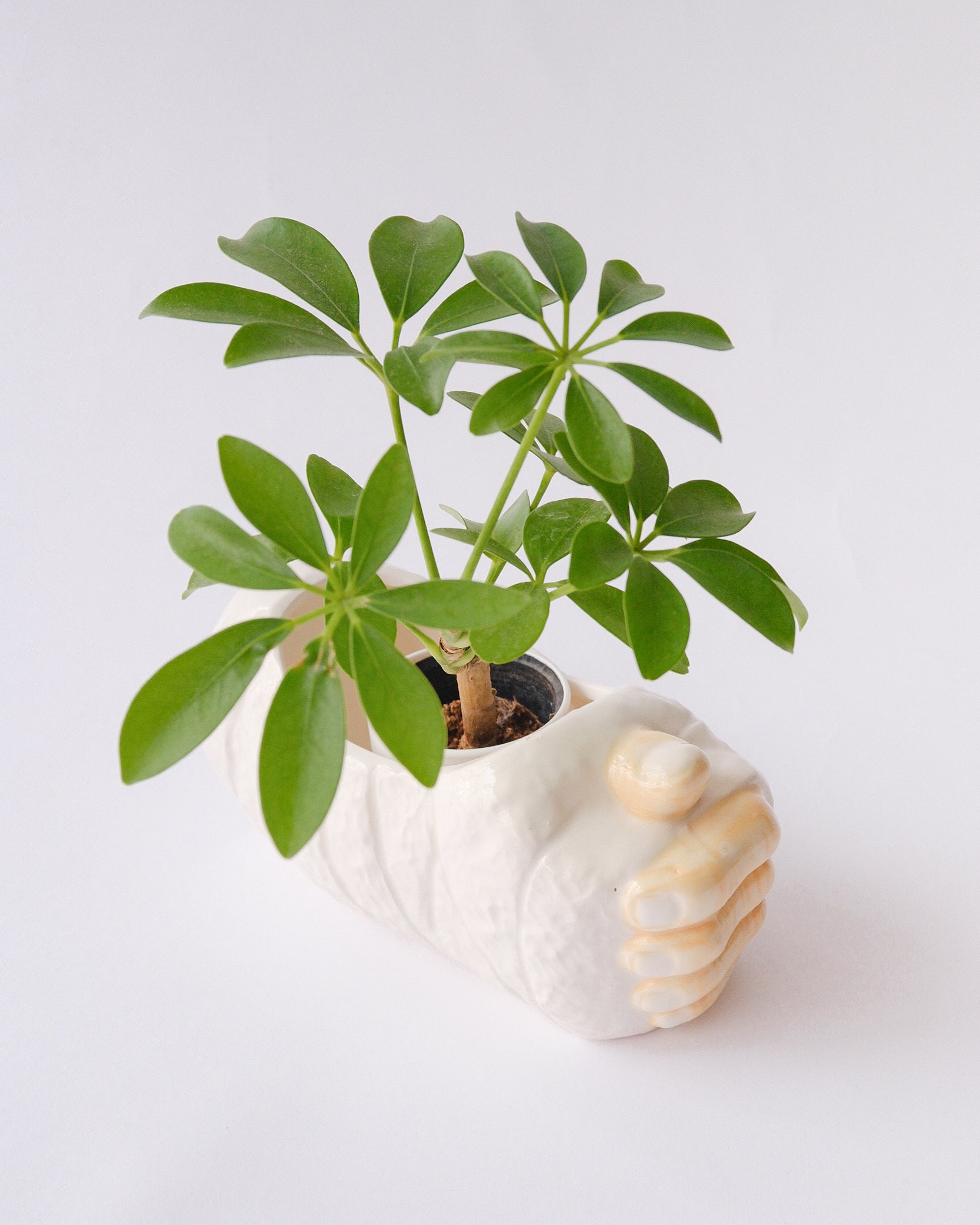 LUV Imports ceramic planter cover