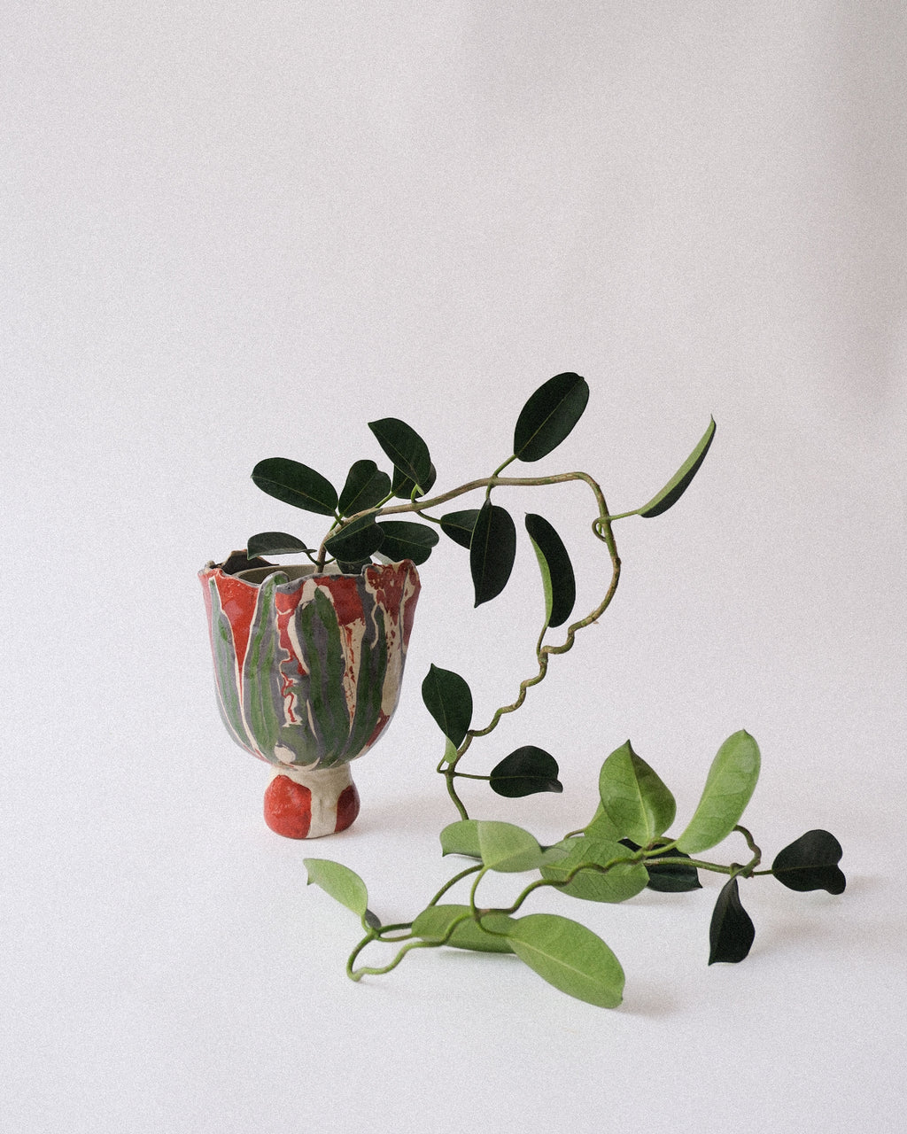 arakirina pottery planter