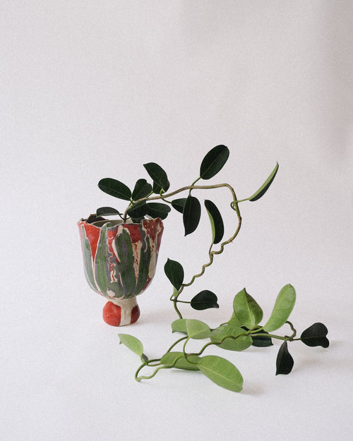 arakirina pottery planter