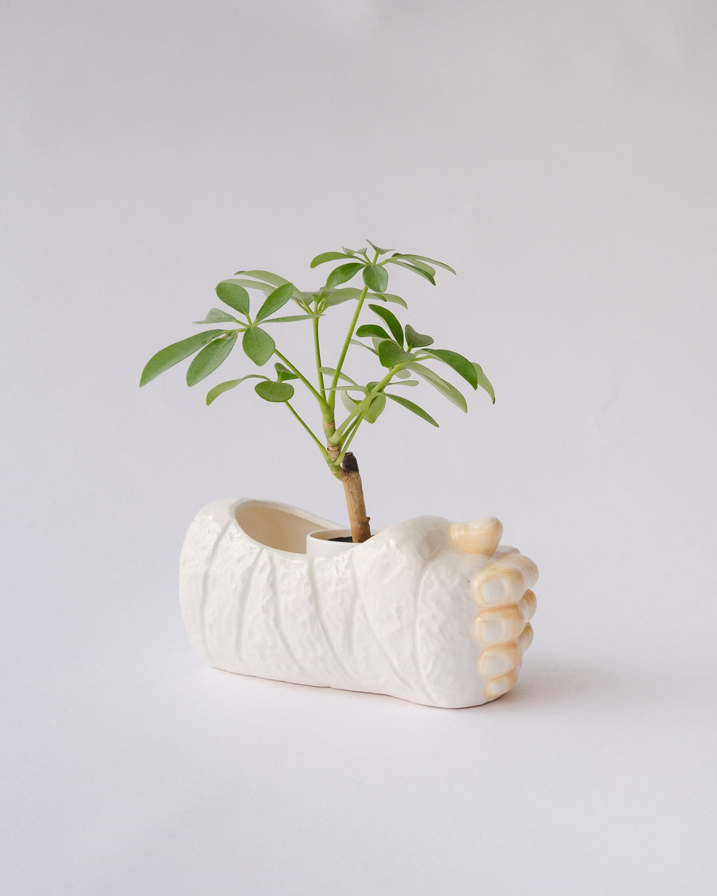 LUV Imports ceramic planter cover