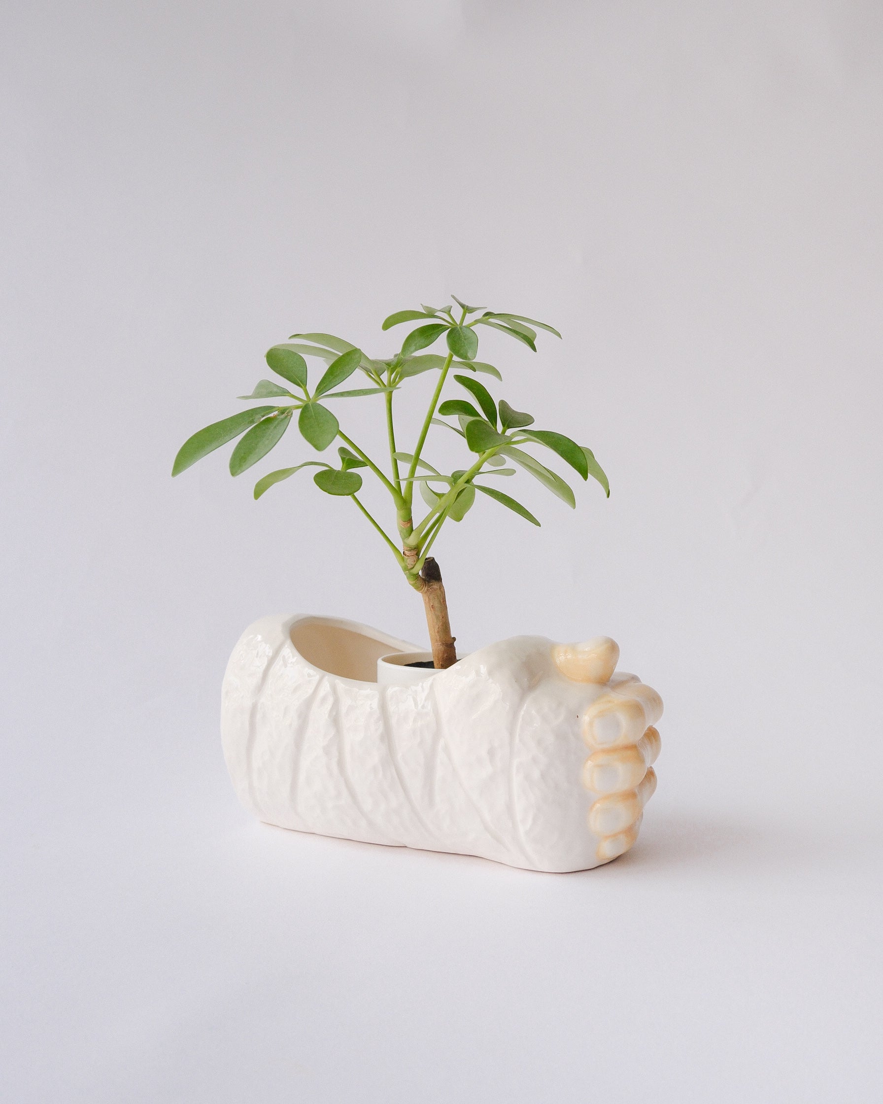 LUV Imports ceramic planter cover