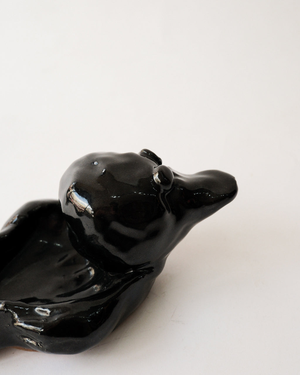 Ceramic Duck Tray