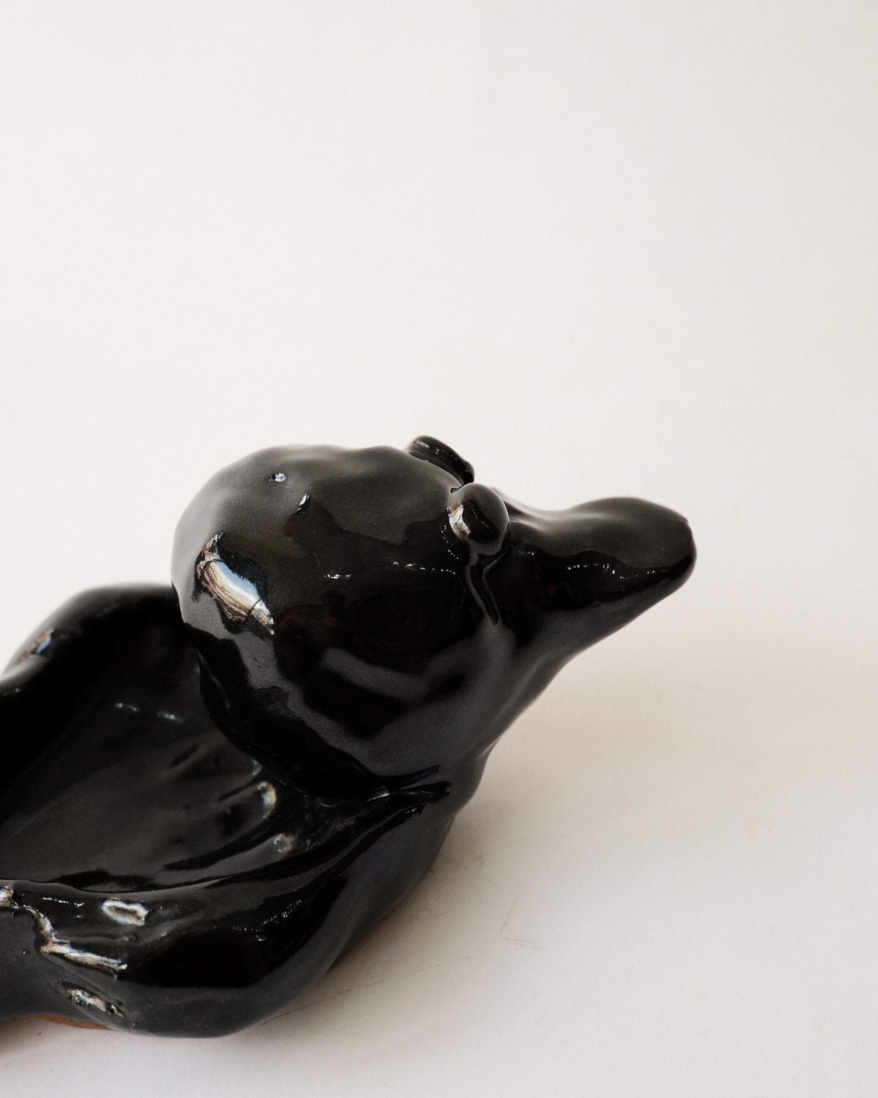 Ceramic Duck Tray