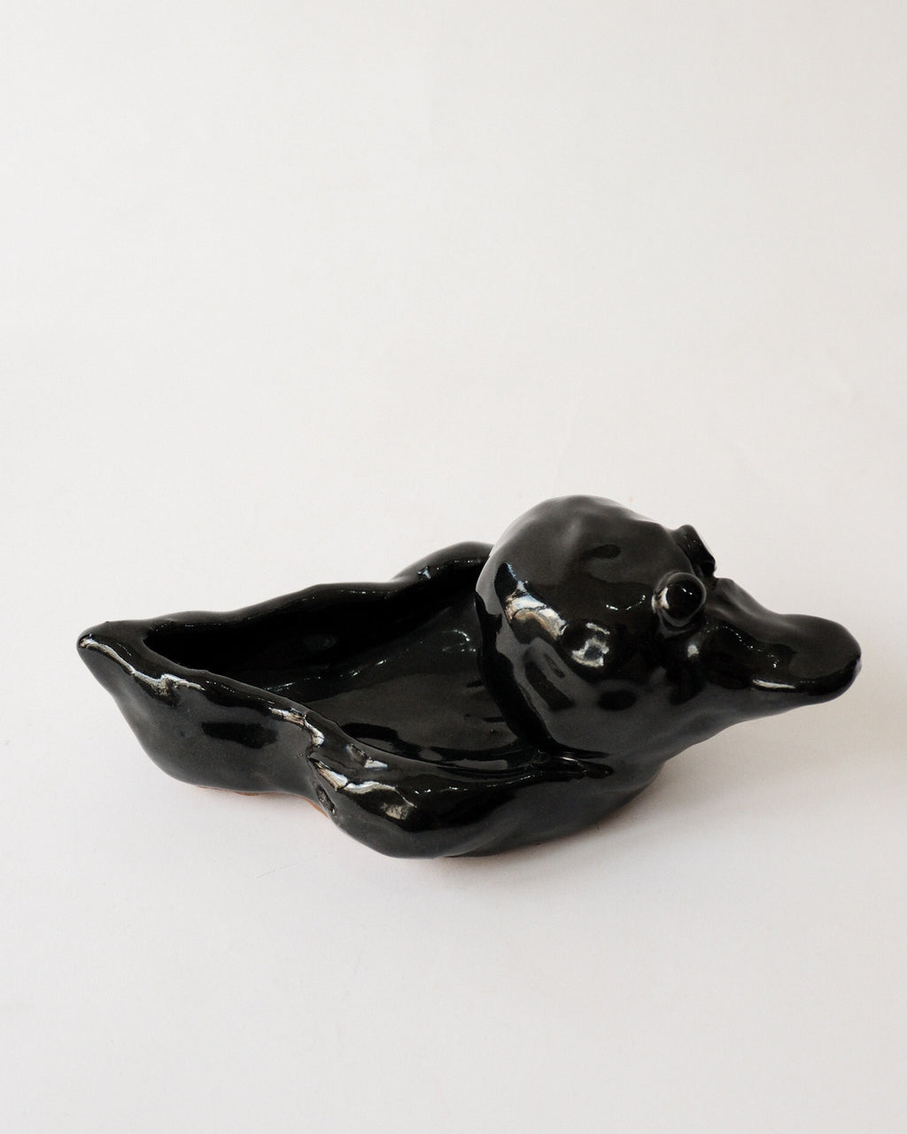 Ceramic Duck Tray