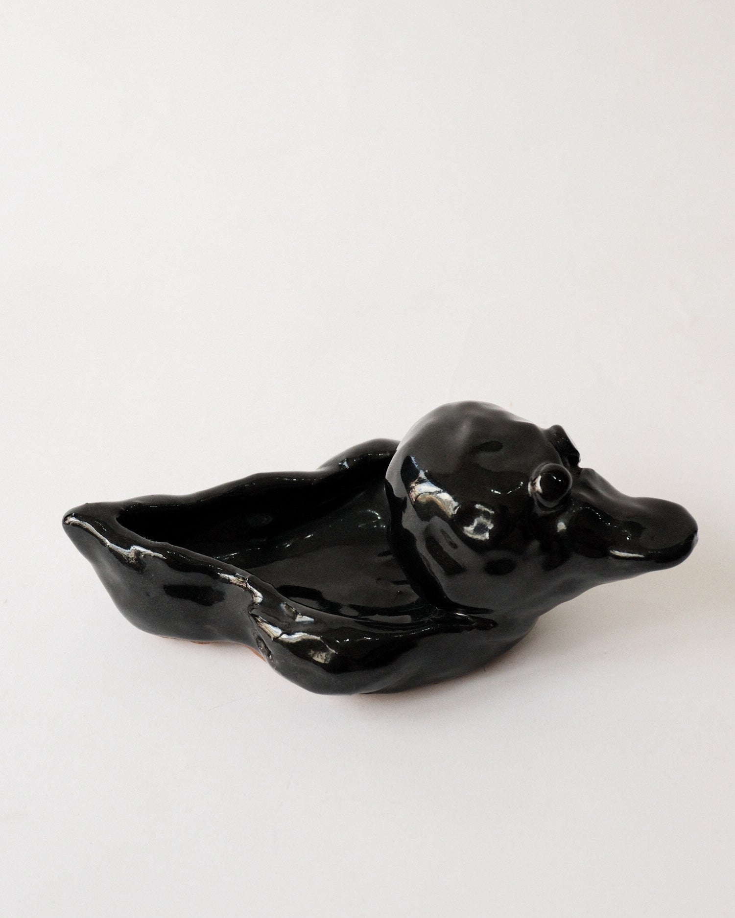 Ceramic Duck Tray