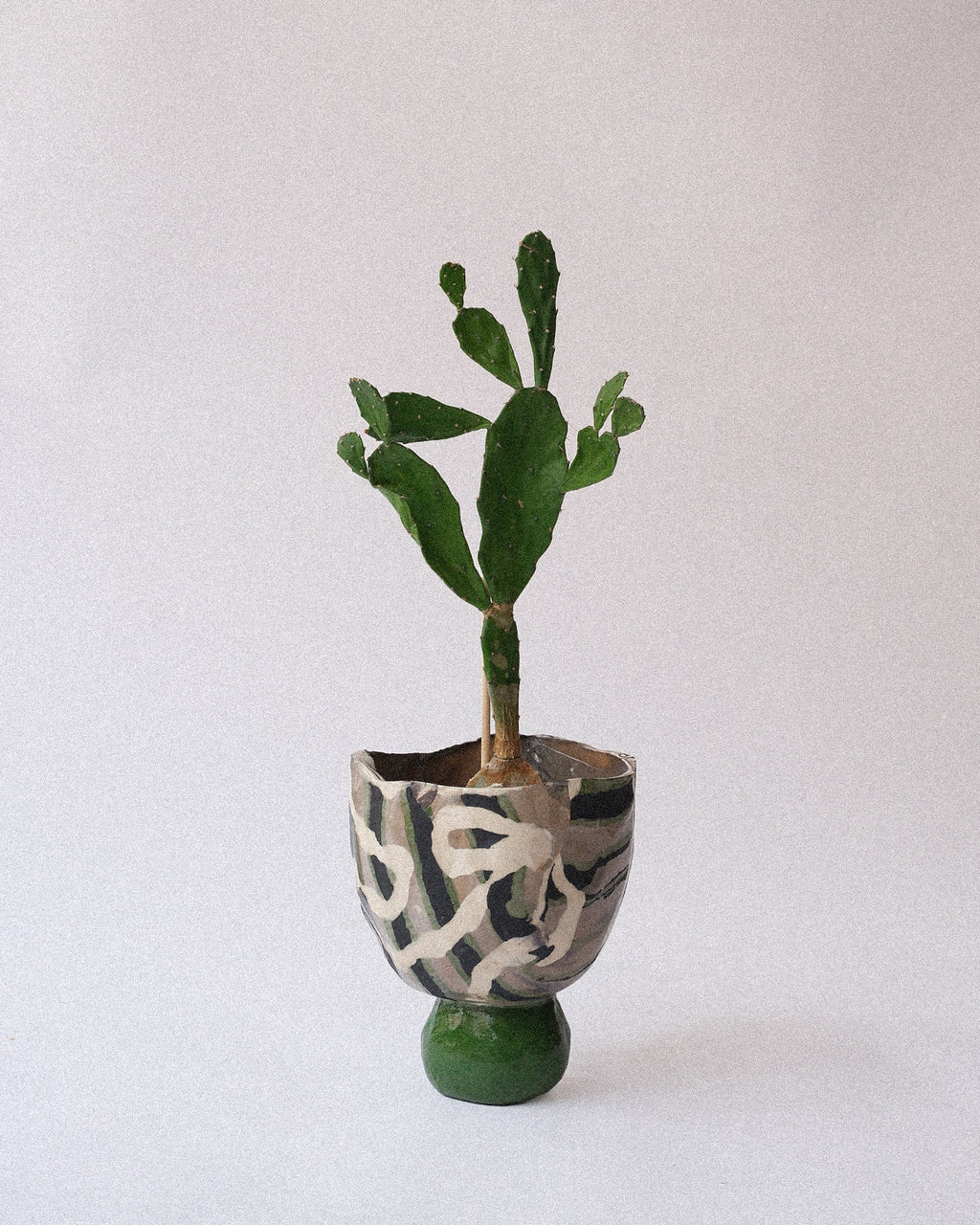 arakirina ceramic planter