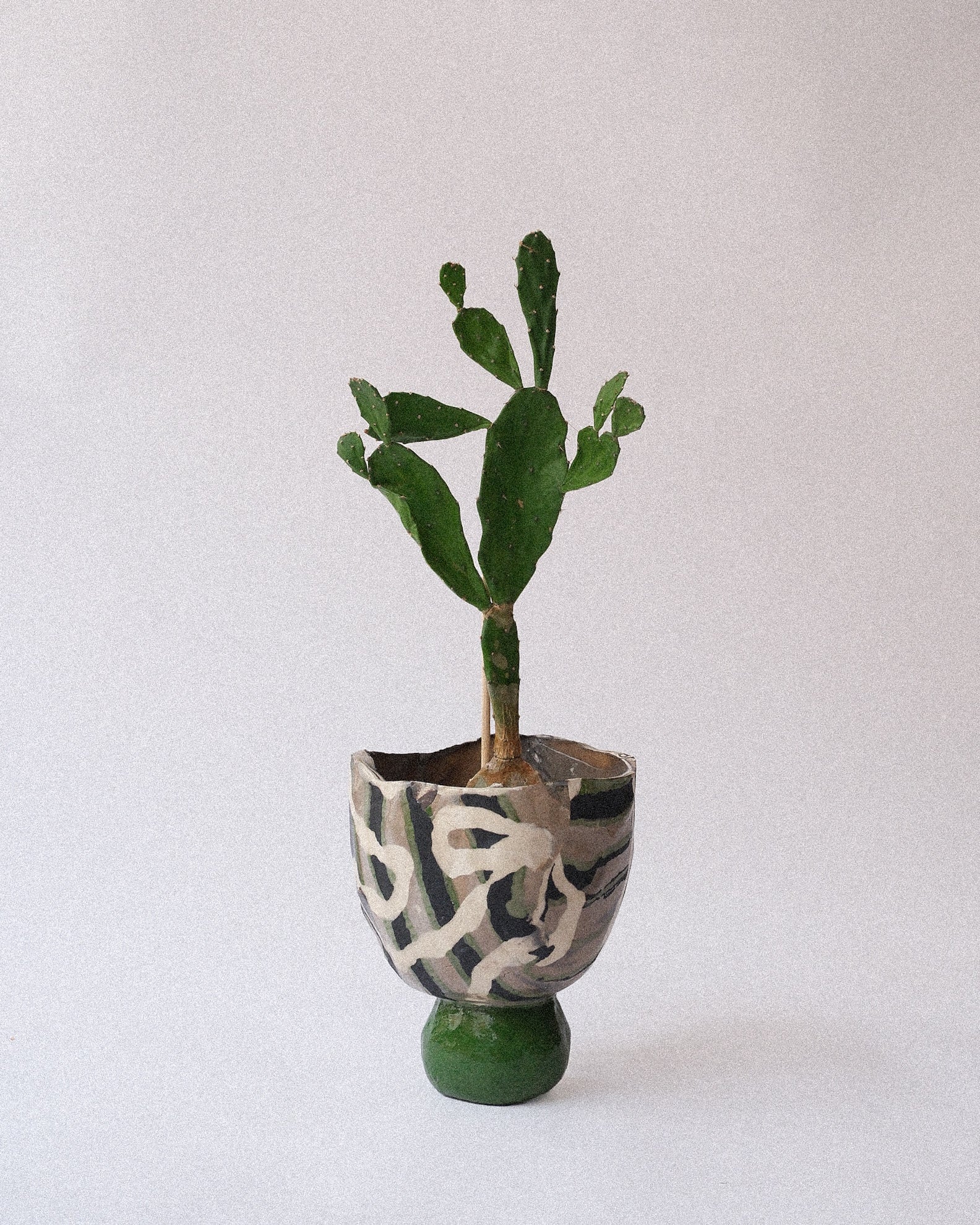 arakirina ceramic planter